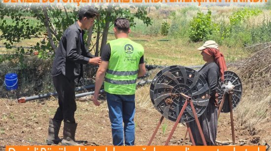 Denizli Büyükşehir tarlalarda emekçinin yanında