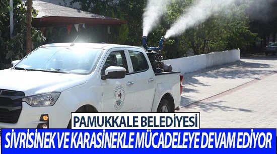 Pamukkale Belediyesi sivrisinek ve karasinekle mücadeleye devam ediyor