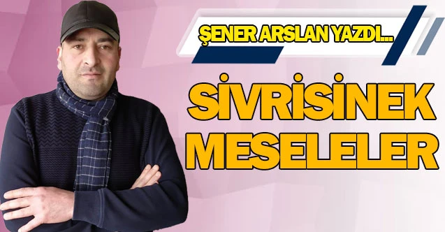 SİVRİSİNEK MESELELER