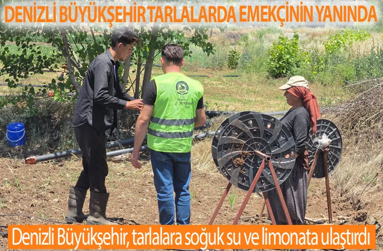 Denizli Büyükşehir tarlalarda emekçinin yanında