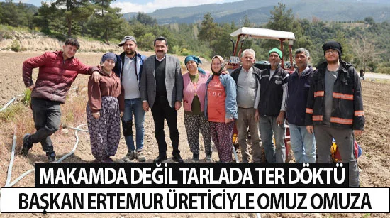 Makamda değil tarlada ter döktü  Başkan ertemur üreticiyle omuz omuza